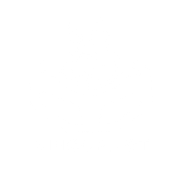 dingopilot